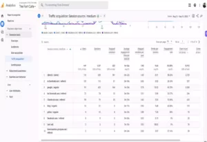 Organic Search Traffic